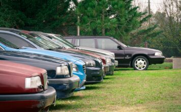 Samochody, w tym Honda Civic, zaparkowane na trawiastym polu na wsi